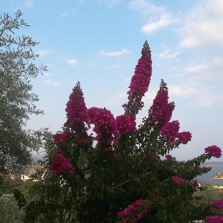 Πέτρα, Ελιά Και Λεβάντα Villa Tolón Eksteriør bilde