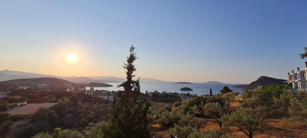 Πέτρα, Ελιά Και Λεβάντα Villa Tolón Eksteriør bilde