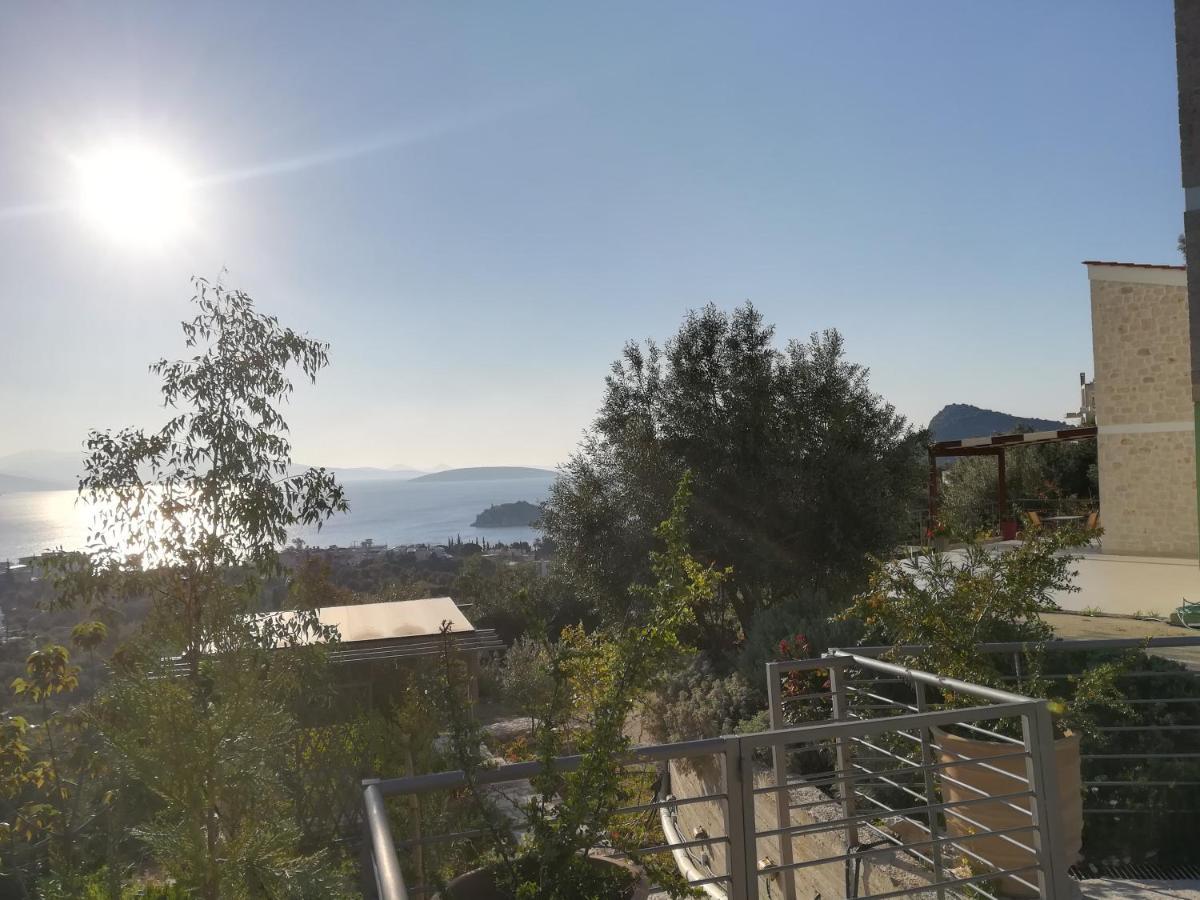 Πέτρα, Ελιά Και Λεβάντα Villa Tolón Eksteriør bilde