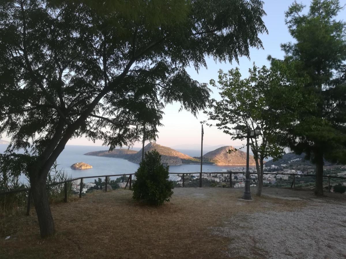 Πέτρα, Ελιά Και Λεβάντα Villa Tolón Eksteriør bilde