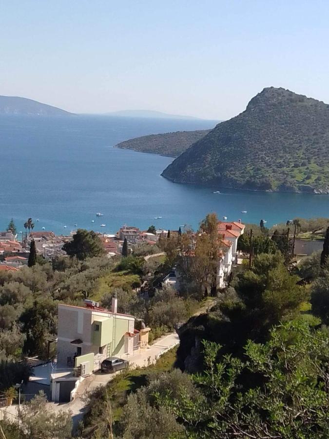 Πέτρα, Ελιά Και Λεβάντα Villa Tolón Eksteriør bilde