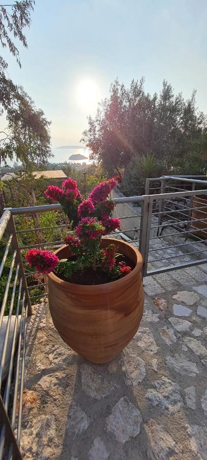 Πέτρα, Ελιά Και Λεβάντα Villa Tolón Eksteriør bilde