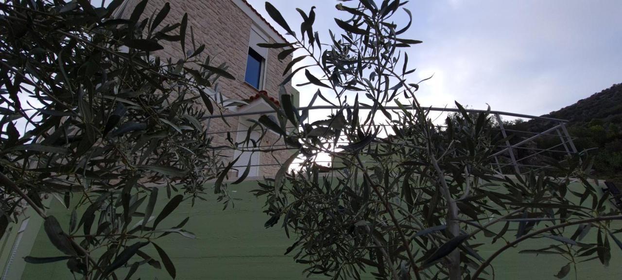 Πέτρα, Ελιά Και Λεβάντα Villa Tolón Eksteriør bilde