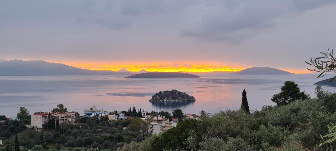 Πέτρα, Ελιά Και Λεβάντα Villa Tolón Eksteriør bilde
