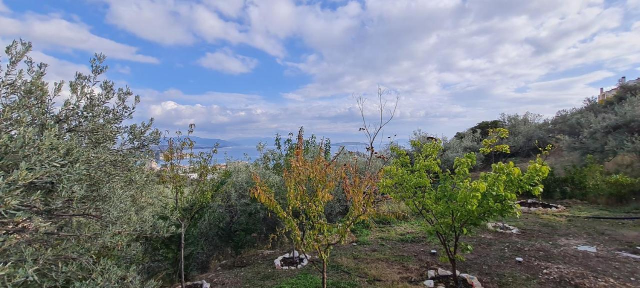 Πέτρα, Ελιά Και Λεβάντα Villa Tolón Eksteriør bilde